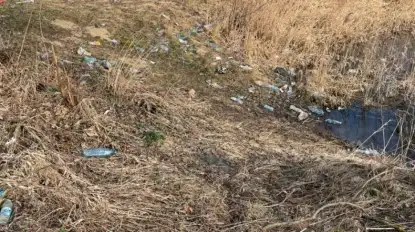 Pracownicy Wód Polskich sprzątnęli brzeg rzeki Pisy