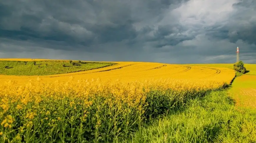 Co robić na Mazurach, gdy pada deszcz? Zobacz naszych 5 propozycji