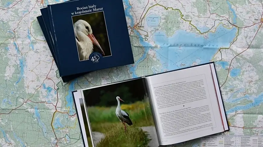 Bocian biały w krajobrazie Mazur