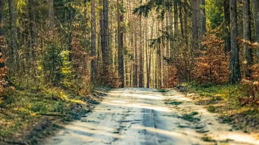 Czy na Mazurach można…się zgubić? Niestety tak
