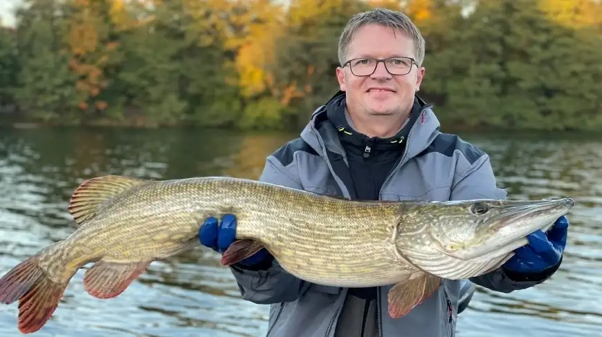 Taka ryba złowiona na Mazurach! Olbrzymi szczupak złapany w jeziorze Czos