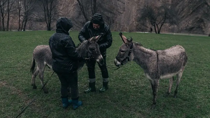 Film realizowany na Warmii i Mazurach ma szanse na Oscara