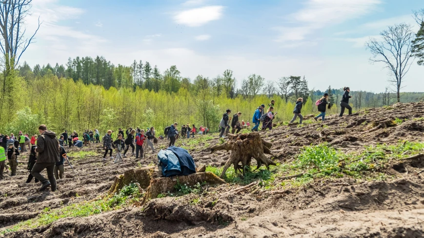 W ramach akcji Las Przyjaźni - Wilczy Szaniec 2023, posadzono 5000 dębów