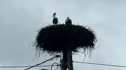 Krutek już przyleciał na Mazury i ma partnerkę