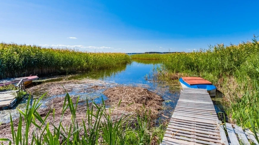 Zdory na Mazurach - zdjęcie poglądowe.