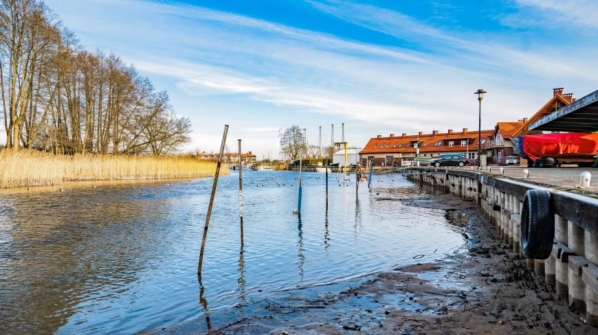 Zdjęcie poglądowe.