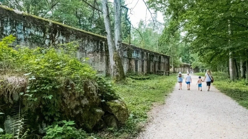 Noc Muzeów w Wilczym Szańcu – podróż w głąb historii II wojny światowej
