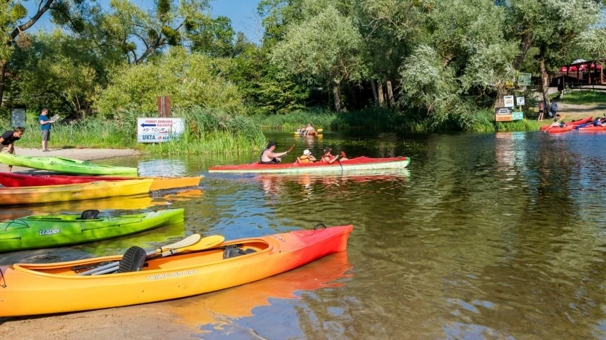 Zdjęcie poglądowe.