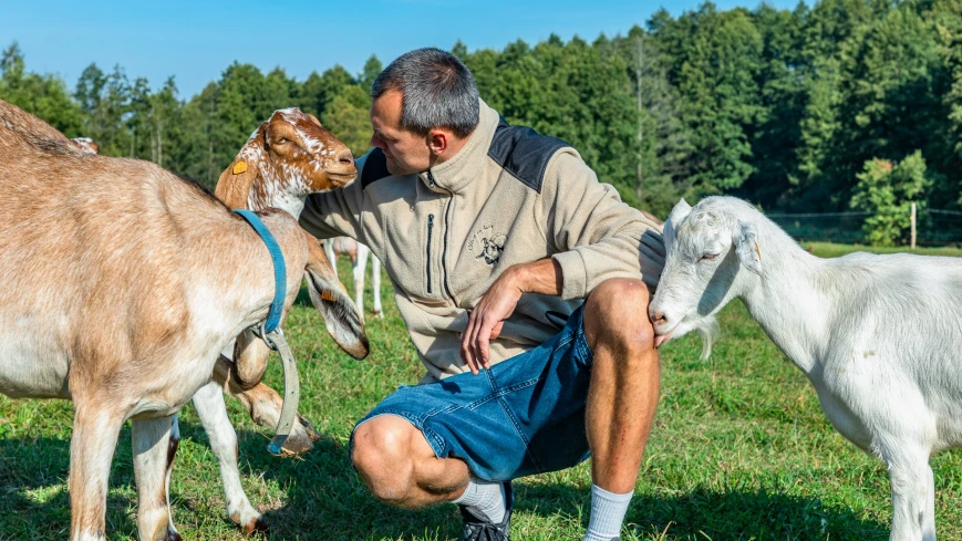 Cichy bohater serowarni. Kamil, który zbudował fundamenty Chèvre au lait