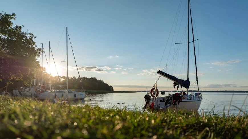Zdjęcie poglądowe.