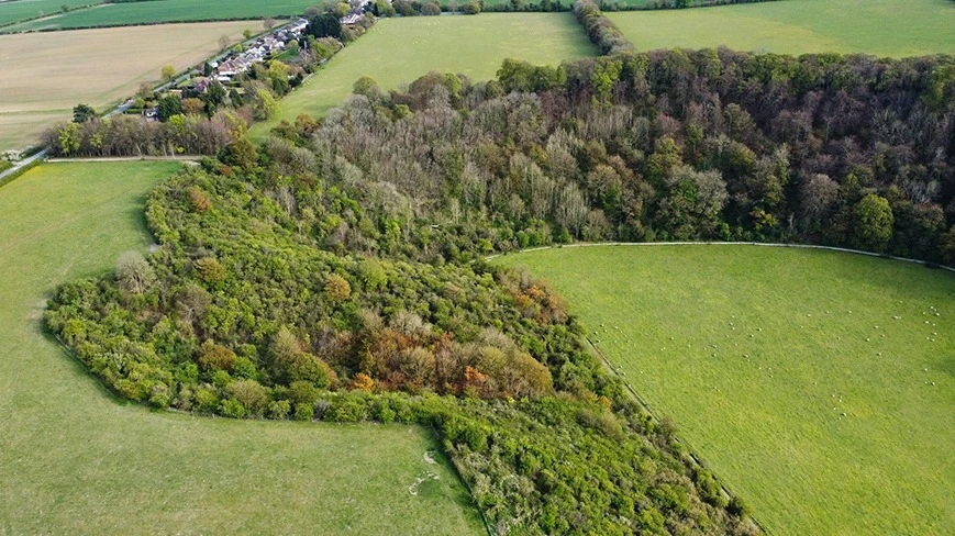 Działka z przetargu od gminy lub miasta - jak kupić?