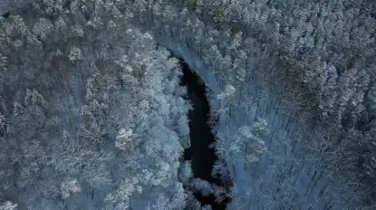 Zimowa przyroda bez tajemnic. Seniorzy wyruszą na poszukiwanie leśnych tropów w Krutyni