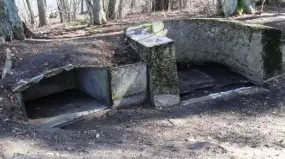 Tajemnice ukryte w mazurskim lesie. Dlaczego warto odwiedzić ścieżkę historyczną w Rucianem-Nidzie?