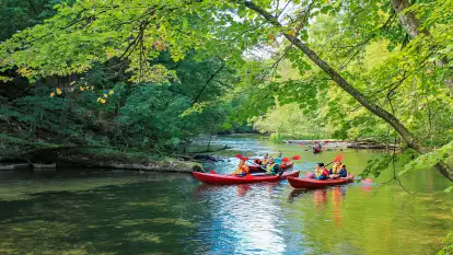 Spływy Kajakowe As-TOUR - zdjęcie 14