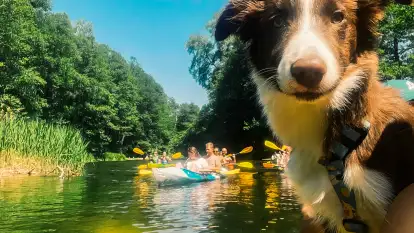 Spływy Kajakowe As-TOUR - zdjęcie 19