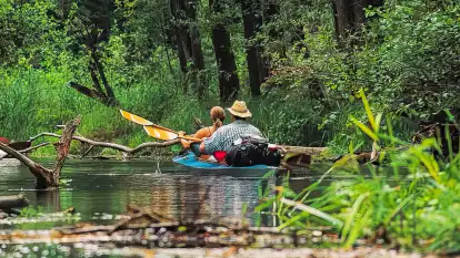 Spływy Kajakowe Wodniak - zdjęcie 20
