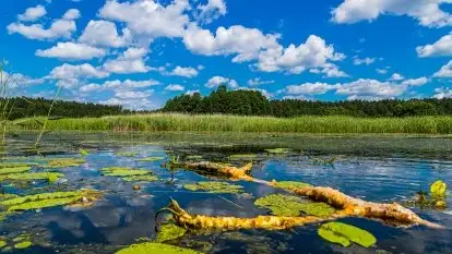 Spływy kajakowe rzeką Sapina - zdjęcie 3