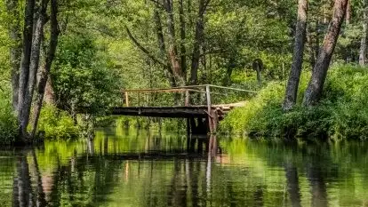 Spływy kajakowe rzeką Sapina - zdjęcie 13