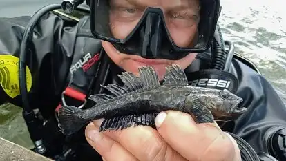 Usługi nurkowe Mazury - zdjęcie 14