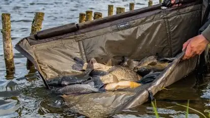 Łowisko Sterławki - zdjęcie 21