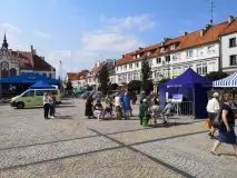 Dni Pisza 2021 - zdjęcie 17