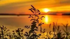 Zachód nad jeziorem Kisajno, sierpień 2021 r. - zdjęcie 16