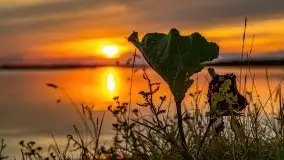 Zachód nad jeziorem Kisajno, sierpień 2021 r. - zdjęcie 36