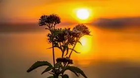 Zachód nad jeziorem Kisajno, sierpień 2021 r. - zdjęcie 30