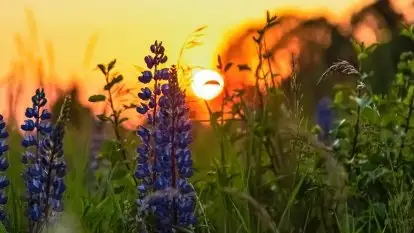 Zachód słońca w okolicach wsi Ublik