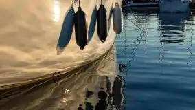 Zachód słońca nad jeziorem Bocznym, Tło Dla Mew, wrzesień 2021 - zdjęcie 10