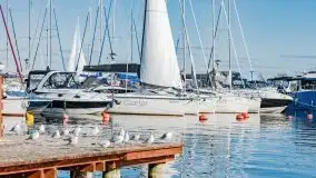 Suszenie żagli nad jeziorem Niegocin, Wilkasy - zdjęcie 22