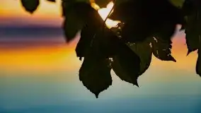 Zachód słońca nad jeziorem Dobskim, wrzesień 2021 - zdjęcie 34