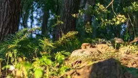 Zachód słońca nad jeziorem Dobskim, wrzesień 2021 r. - zdjęcie 18