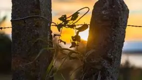 Zachód słońca w Pierkunowie, wrzesień 2021 r. - zdjęcie 17