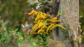 Zachód słońca w Pierkunowie, wrzesień 2021 r. - zdjęcie 28