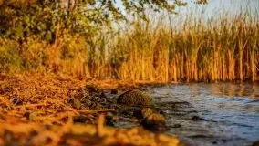 Zachód słońca, Giżycko, jezioro Niegocin, październik 2021 r. - zdjęcie 30