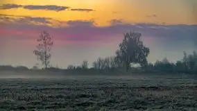 Październikowy wschód słońca, mgły i szron - zdjęcie 34