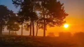 Październikowy wschód słońca, mgły i szron - zdjęcie 14