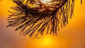 Październikowy wschód słońca, mgły i szron - zdjęcie 52