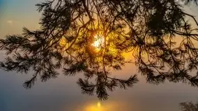 Październikowy wschód słońca, mgły i szron - zdjęcie 59