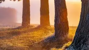 Październikowy wschód słońca, mgły i szron - zdjęcie 69