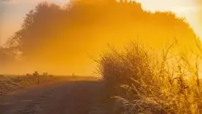 Październikowy wschód słońca, mgły i szron - zdjęcie 76