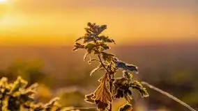 Październikowy wschód słońca, mgły i szron - zdjęcie 85