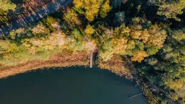 Początki mazurskiej złotej jesieni, październik 2021 r. - zdjęcie 5