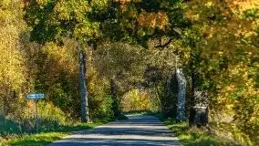 Początki mazurskiej złotej jesieni, październik 2021 r. - zdjęcie 37