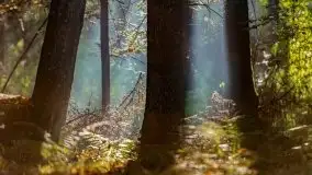 Początki mazurskiej złotej jesieni, październik 2021 r. - zdjęcie 38