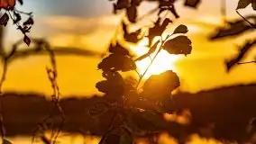 Zachód słońca nad jeziorem Krzywa Kuta - zdjęcie 18