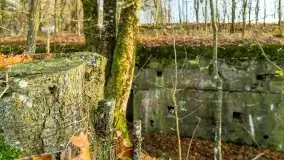 Mazury są pełne schronów i bunkrów z czasów I i II w.ś. - zdjęcie 26