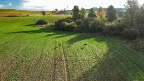 Jesienny zachód słońca z lotu ptaka - zdjęcie 3