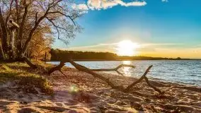 Jesienny Dargin pełen urokliwych kolorów - zdjęcie 7